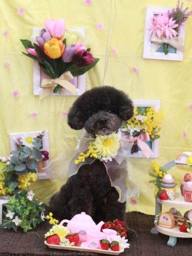 20230301コタロウくん